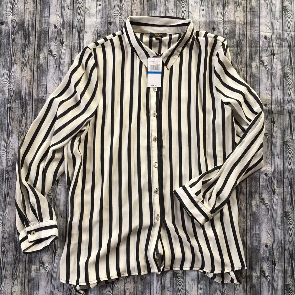 🖤 Cupio Striped Button-Up Blouse